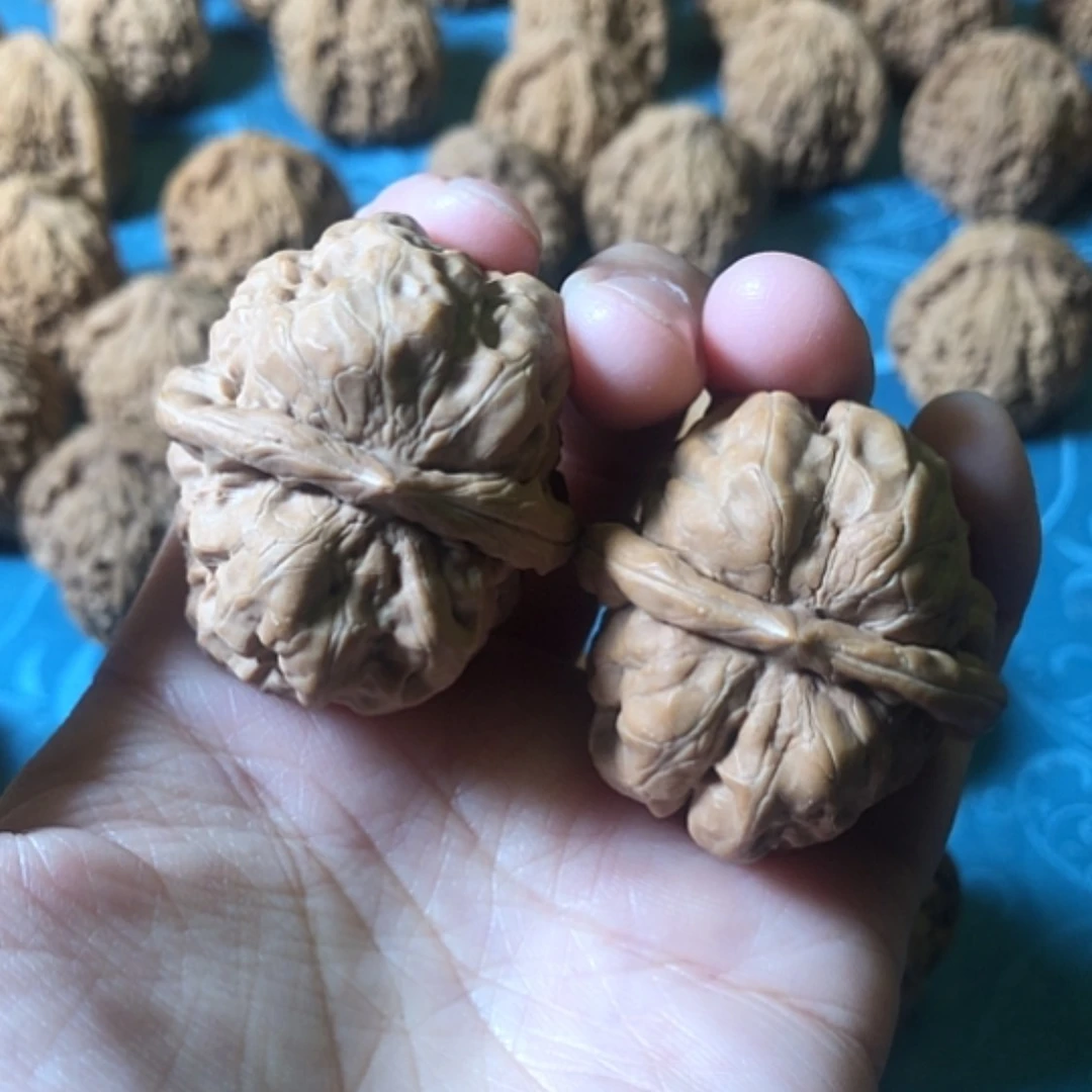 【闪购商品】文玩核桃把件树****止蛤蟆头