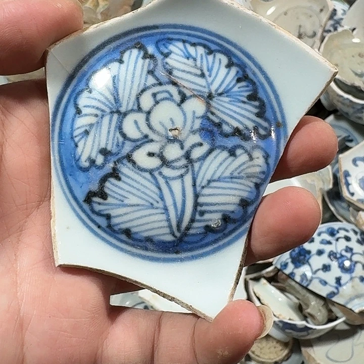 善***业瓷片瓷片标本，顺丰包邮