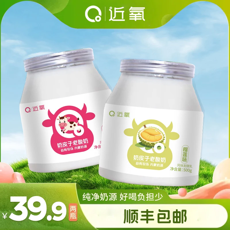 内蒙古手工鲜奶皮子酸奶多种口味非希腊酸奶非干噎酸奶500g*2罐dr