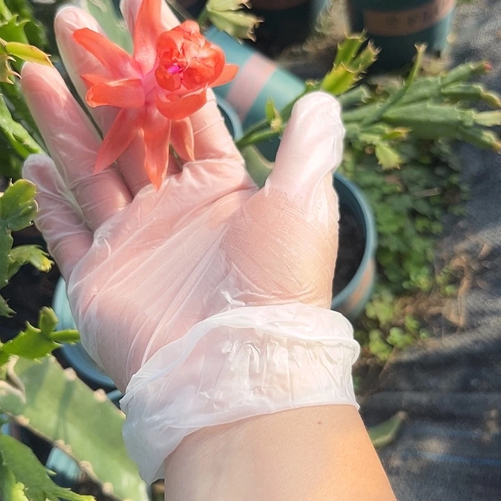 升***机1号道恩00000000000