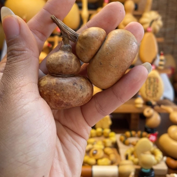 毛***哈天然葫芦自然生长