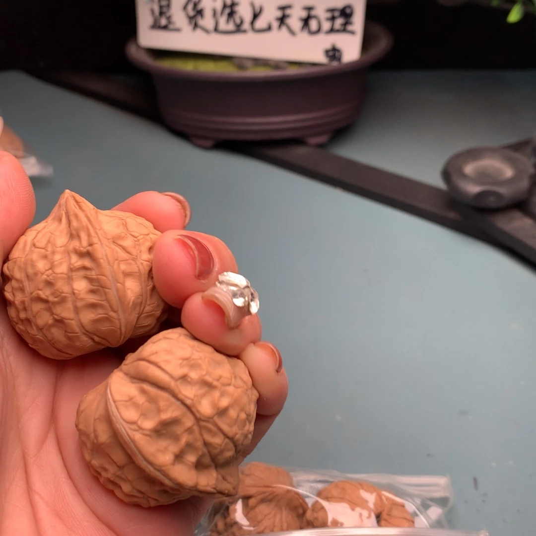 文玩核桃把件龟甲文