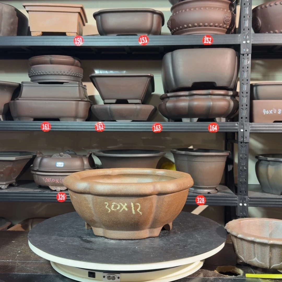 紫砂呜呜呜我的宝呜呜呜好可爱