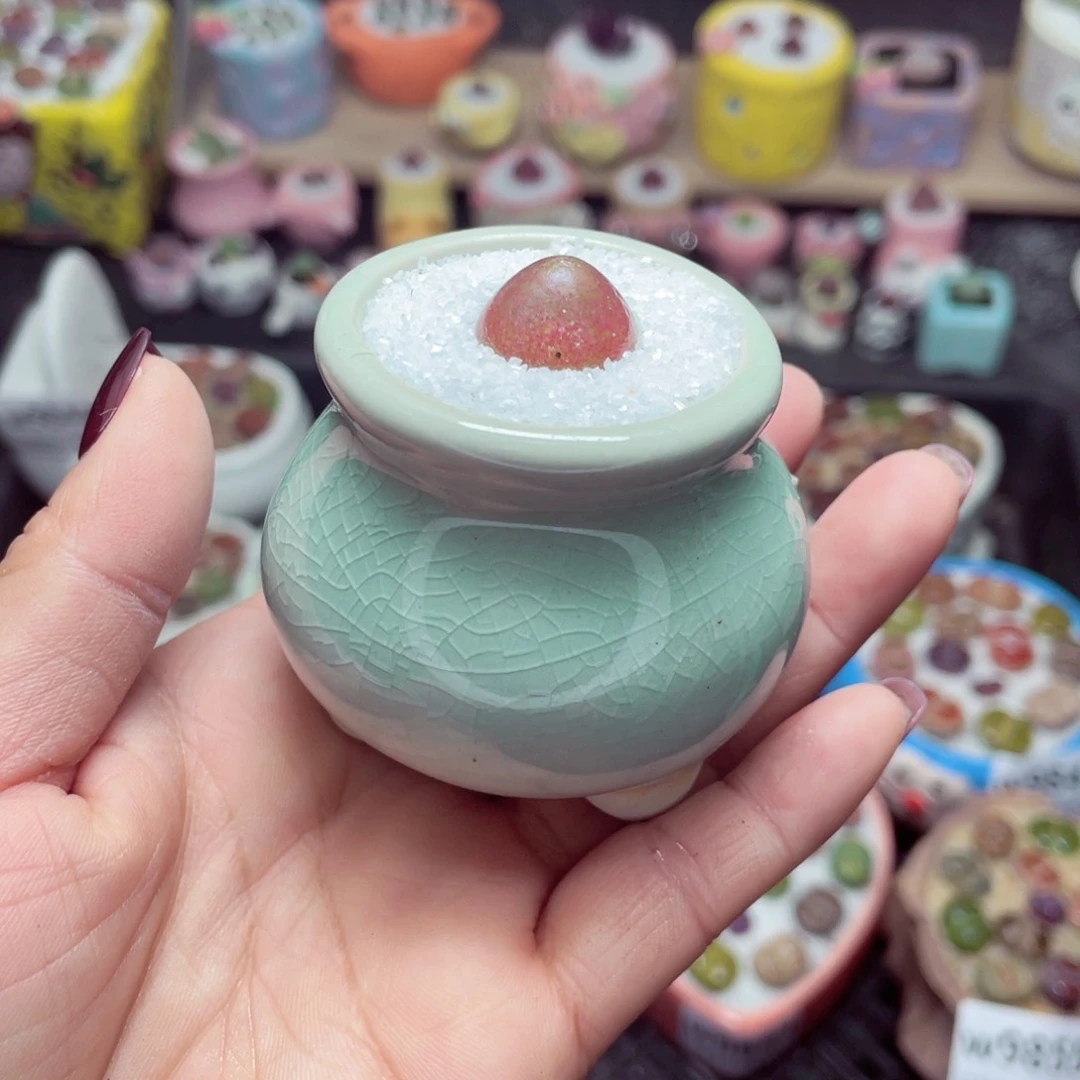 w9856 带盆土发货-零下地区拍保温箱