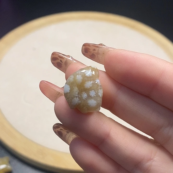 硅化珊瑚（珊瑚玉）未镶嵌颈饰