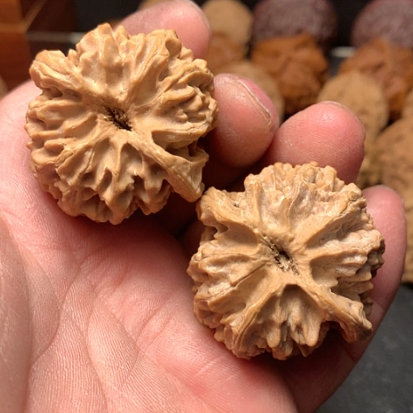 【闪购商品】苹果园