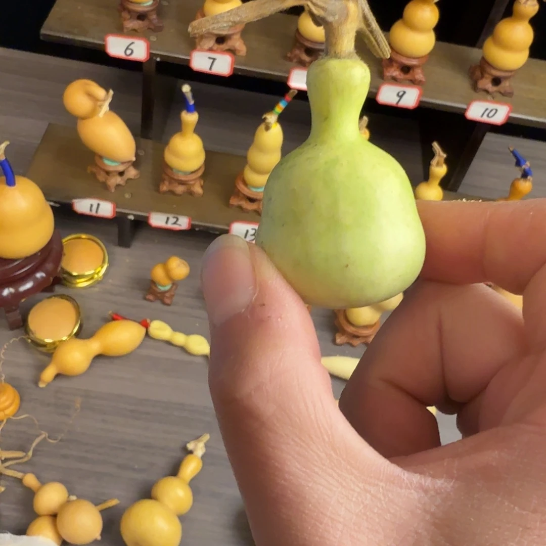 没***^木这个时候应该可以