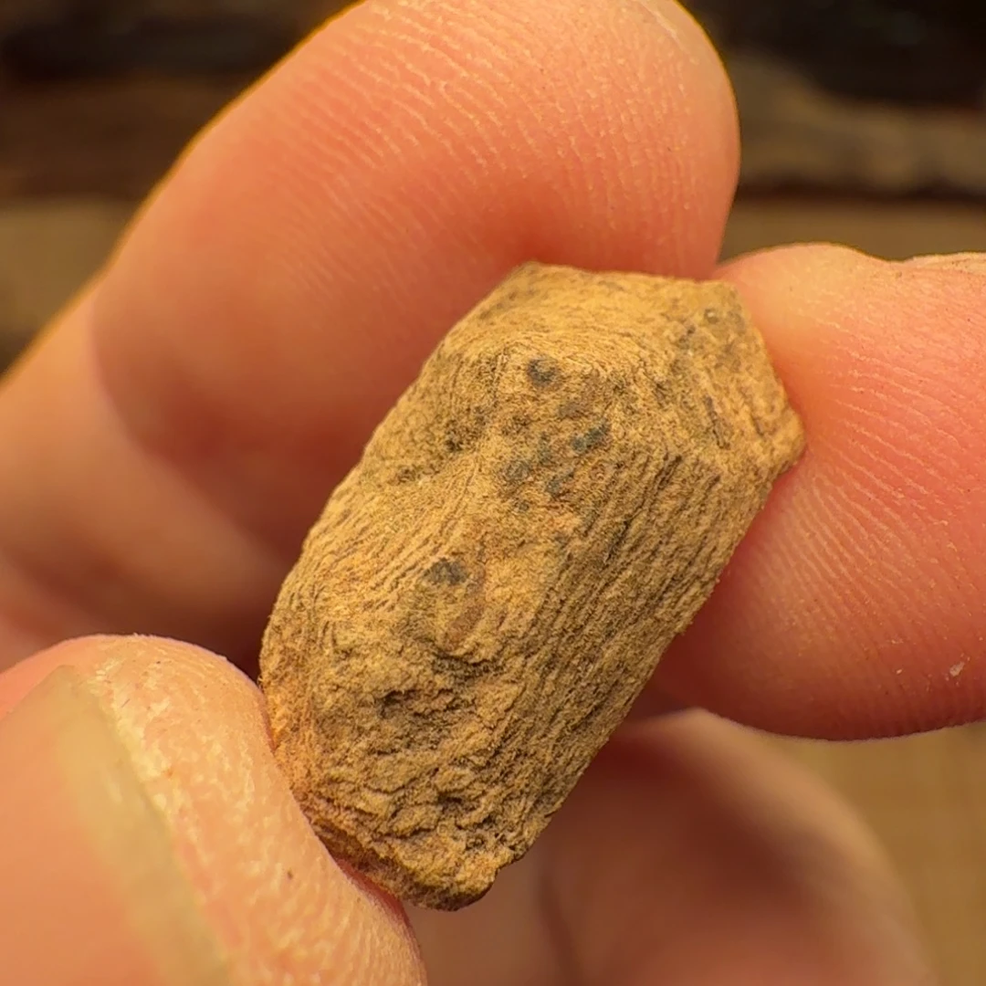 沉香兰卡红土虎斑