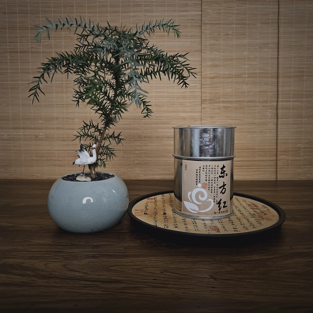 凤凰单丛【东方红】50g正宗潮州碳焙乌龙茶