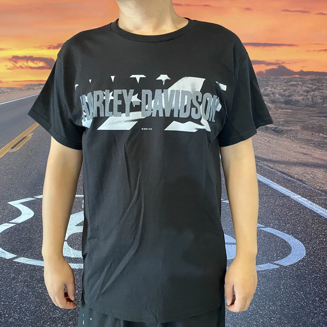 哈雷夏季男士时尚城市定制短袖T恤