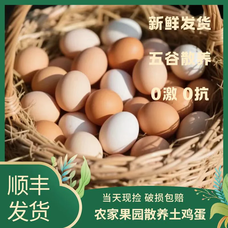 【宠粉福利净重5斤】50枚农家散养土鸡蛋 新鲜现捡 顺丰快递