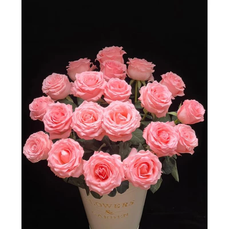 【10支 粉玫瑰】全场鲜花任意满2单及以上 升级顺丰包邮