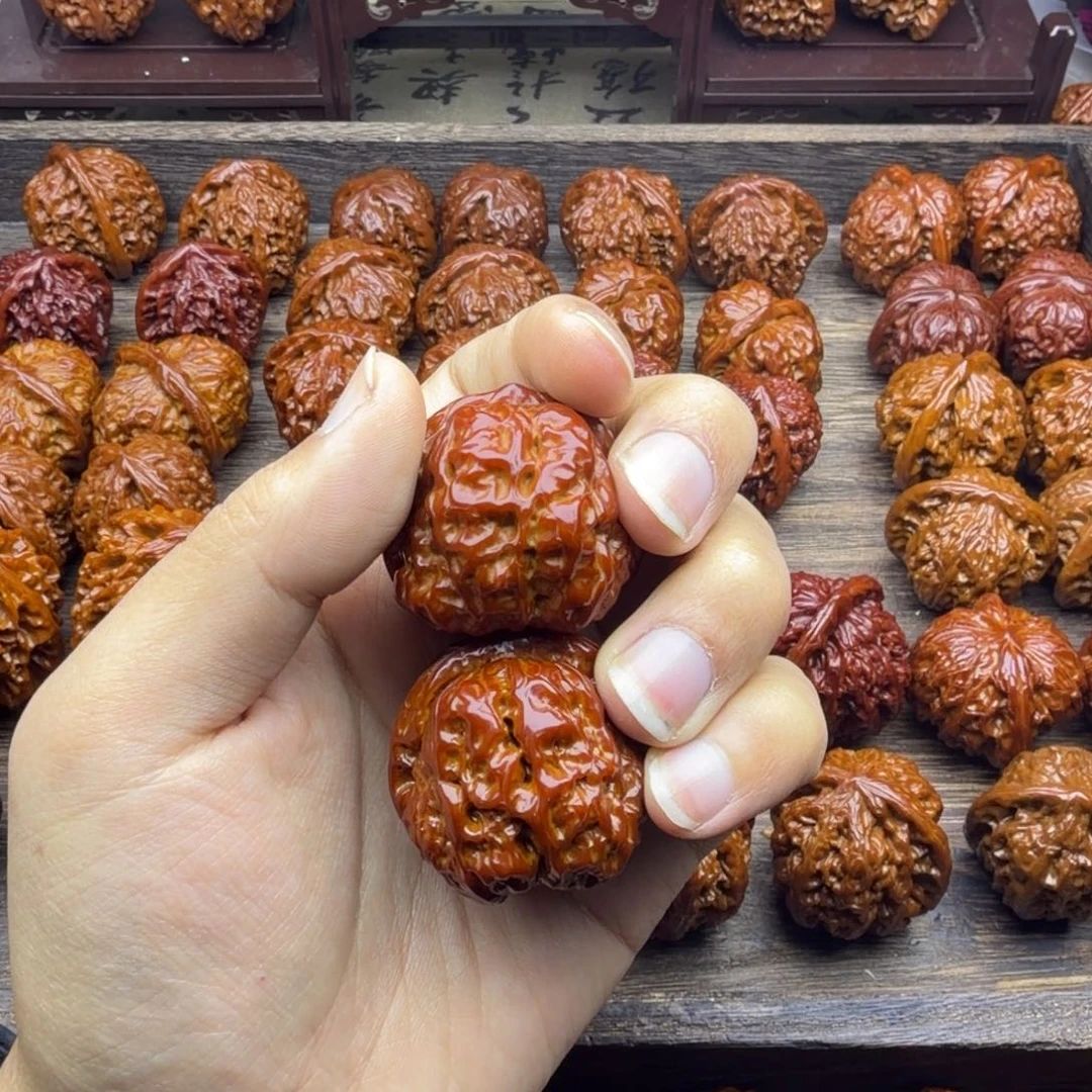 用***6菩提籽类蛤蟆头啊健健康康快乐