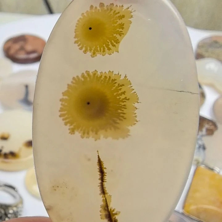 非金属时尚饰品48