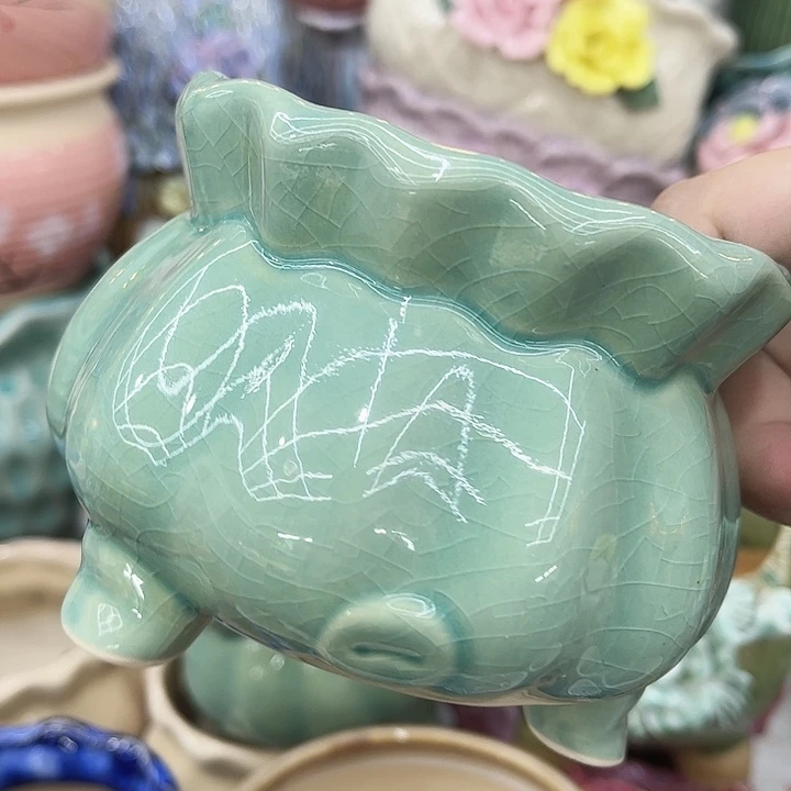 多肉植物陶瓷花盆