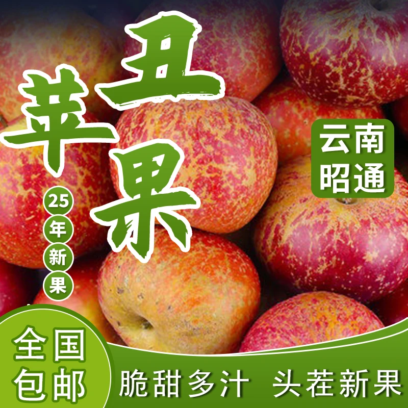 昭通苹果买3斤送2斤冰糖心丑苹果现摘现发包脆包甜坏果包赔