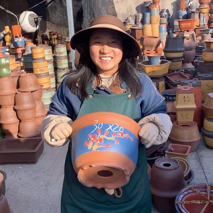 紫砂花盆盆栽花卉苗木种植