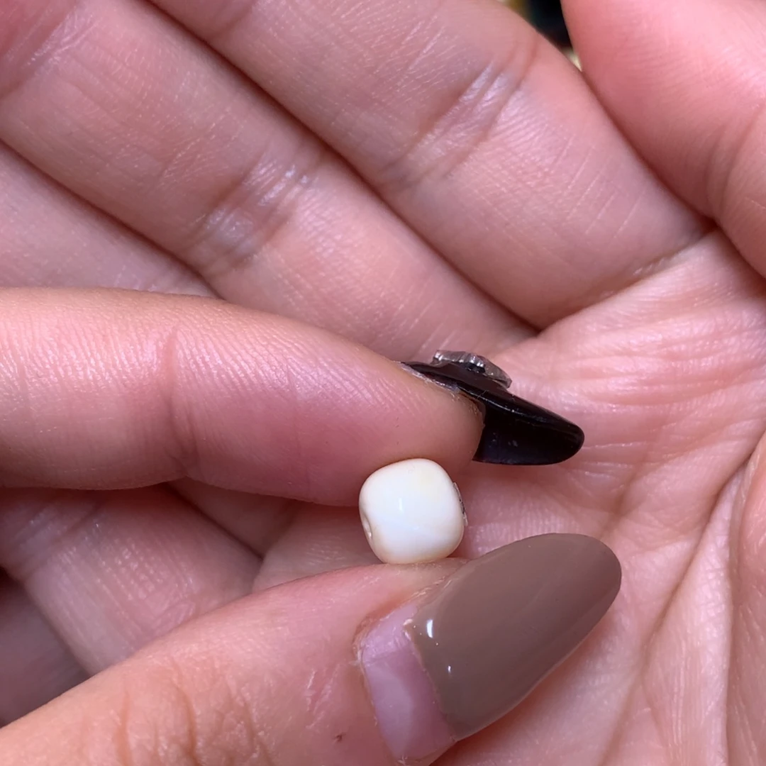 琥珀未镶嵌裸石蜜蜡8