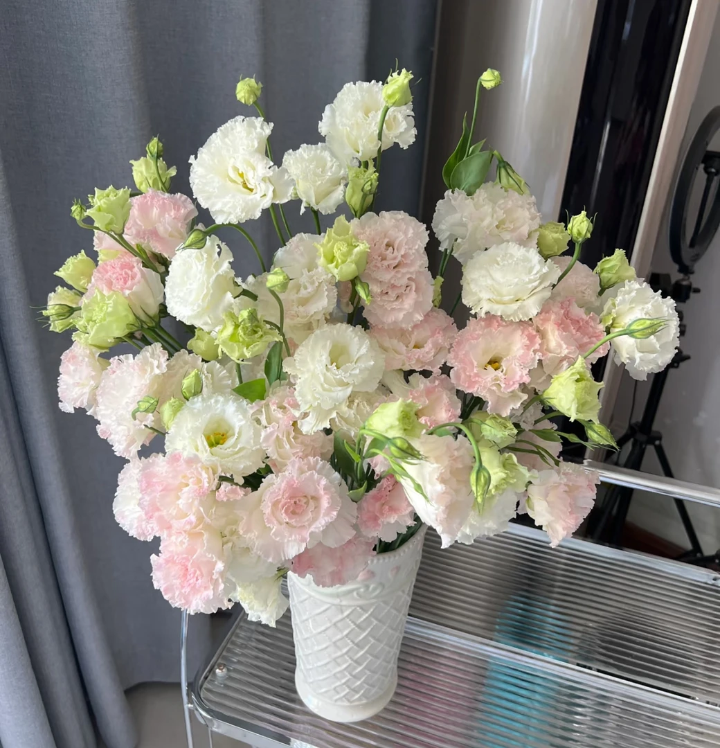 【冰淇淋洋桔梗AK】无刺玫瑰洋桔梗花期长 |全场任意两单鲜花包邮