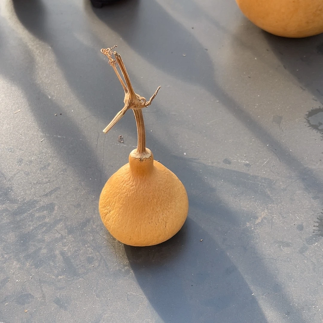 a***锋108葫芦888888888