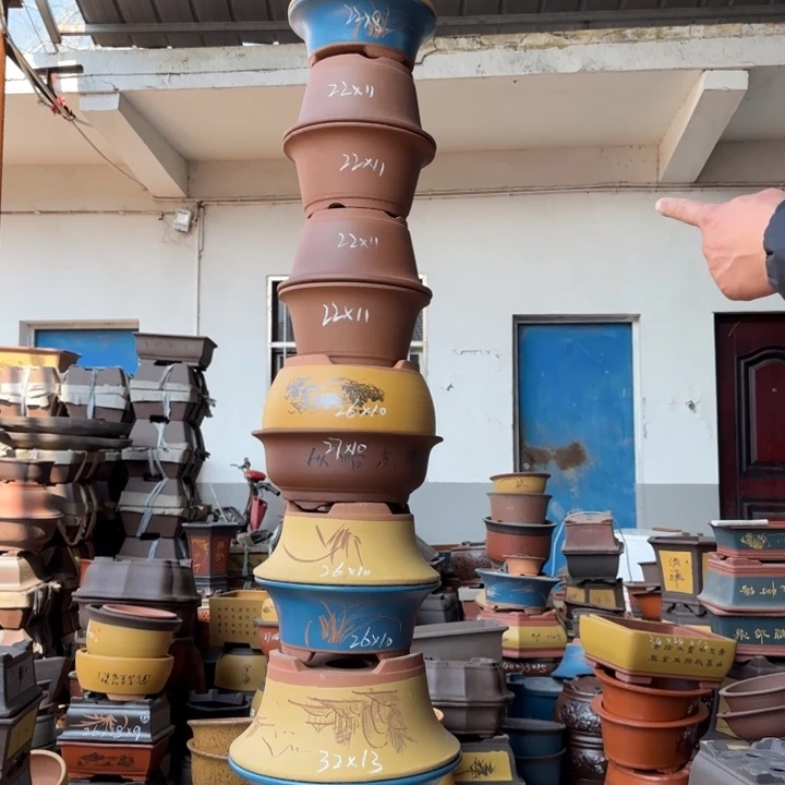 紫砂花盆我在你心里就是一坨烂