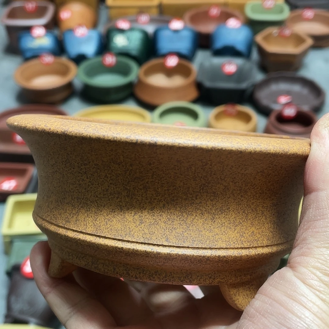 紫砂小盆11*4.5cmmmm