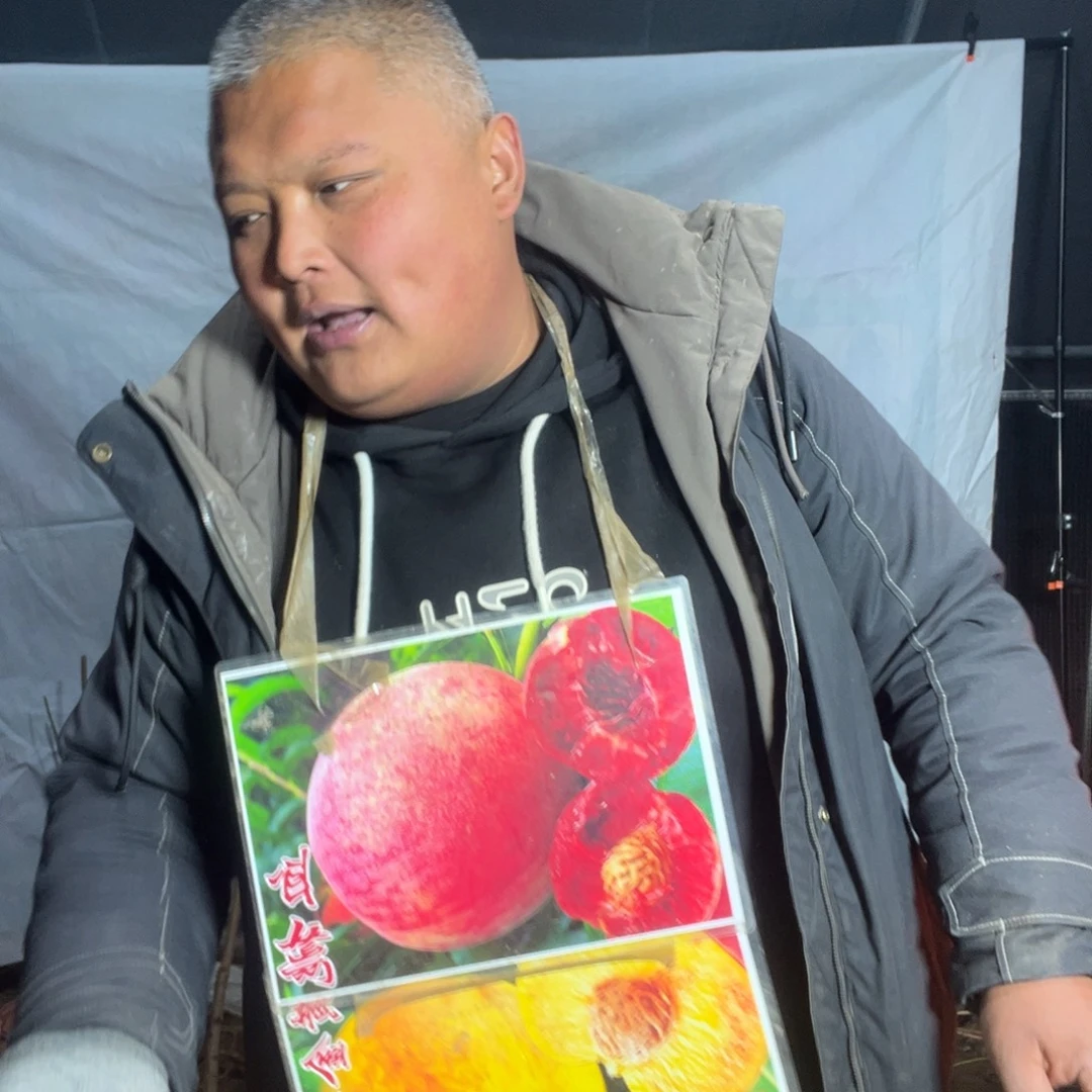 完全开放李子树嫁接的品种
