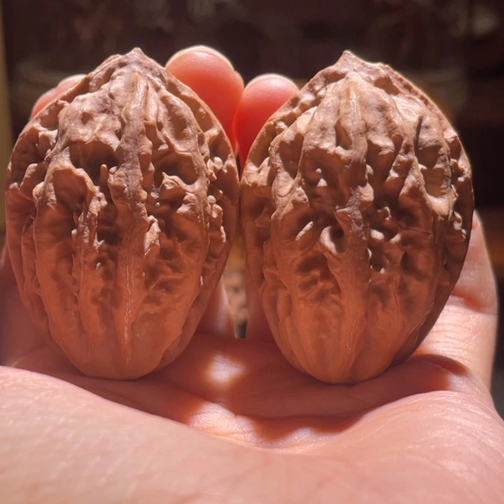 吊坠文玩核桃粗筋百财3