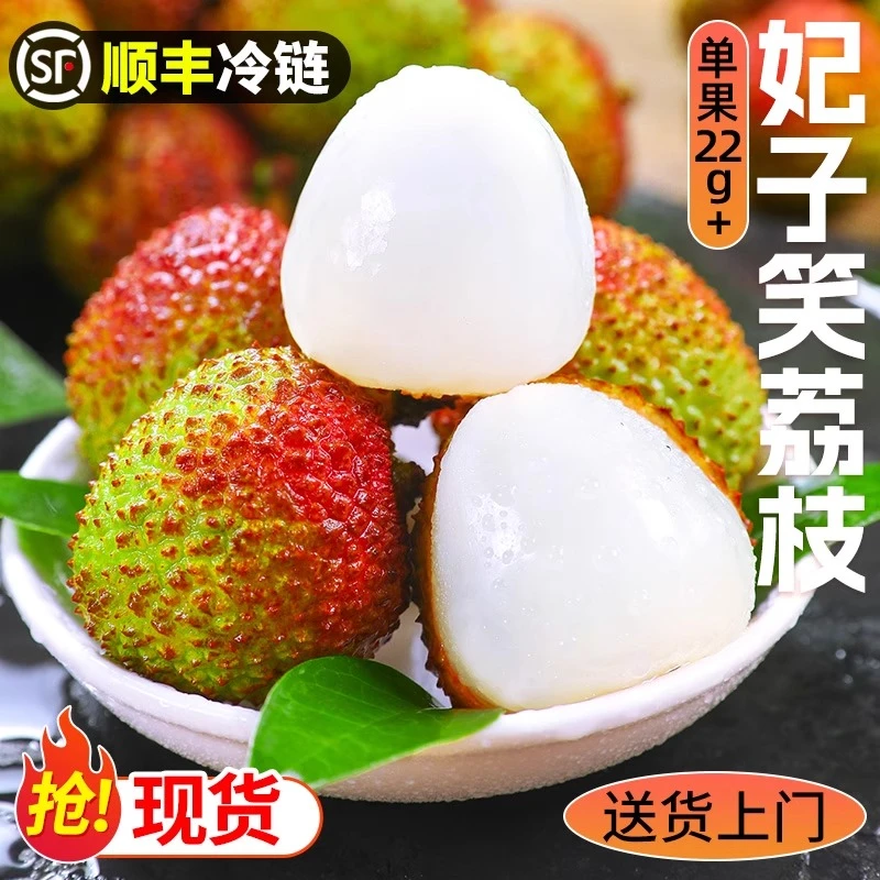【明天到】妃子笑荔枝新鲜现摘水果1-5斤当季当日发产地现摘现发广东省