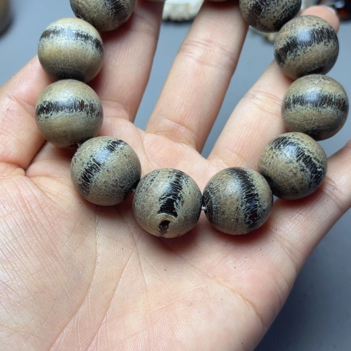 大果紫檀（缅甸花梨）