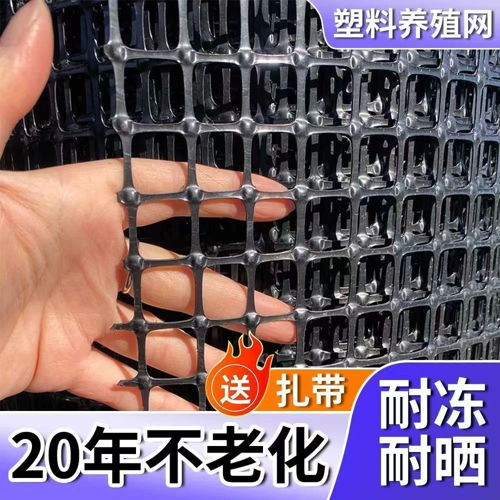 加厚养鸡鸭围栏网塑料网养殖网胶网果园圈地菜园防护网玉米网格栅
