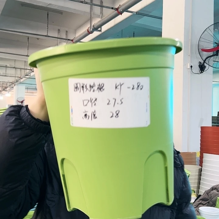 正品圆控口27.5高28果绿无托5只