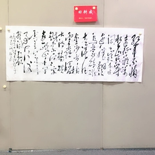 智***觉书法田耕曾书法作品欣赏