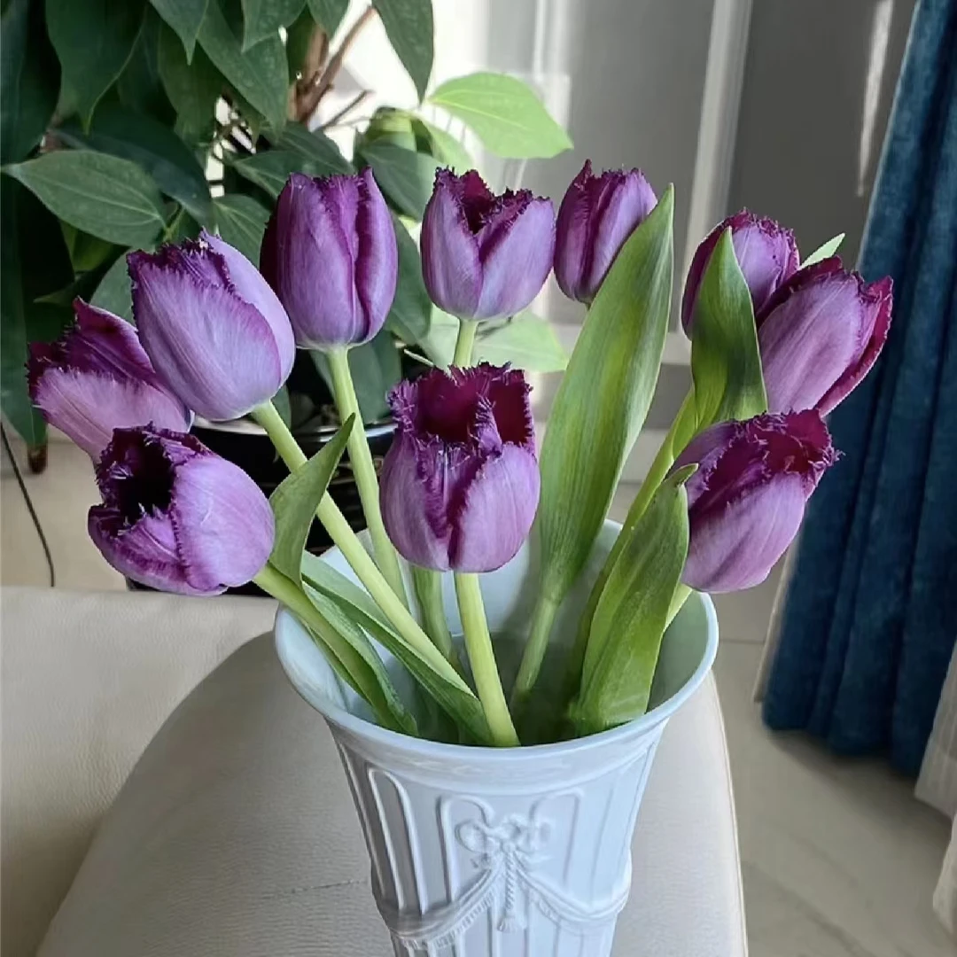 郁金香紫色带毛边东北鲜花基地顺丰包邮品质保证