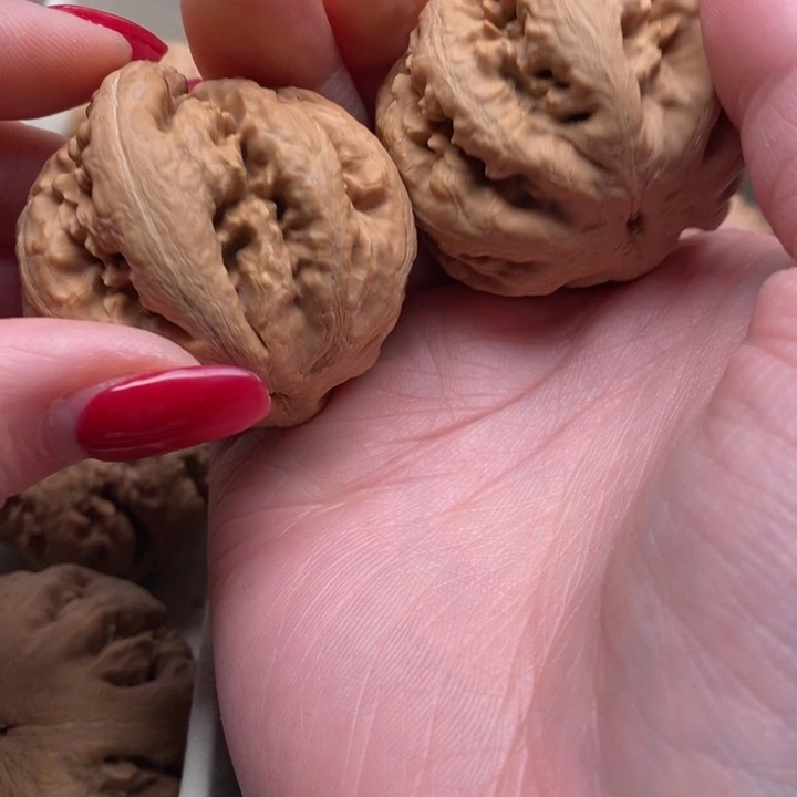 延***哥霸王龙全品无修一刀没动