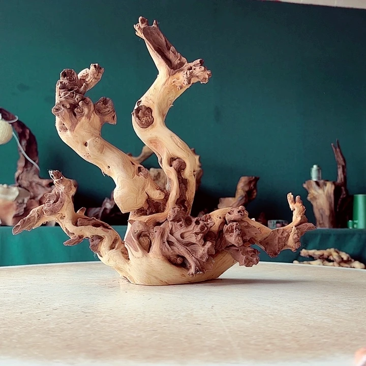 琴***唱木986 金丝红木羊蹄甲半成品