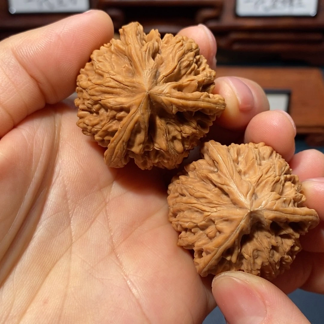 文玩核桃把件御龙粗筋全品41