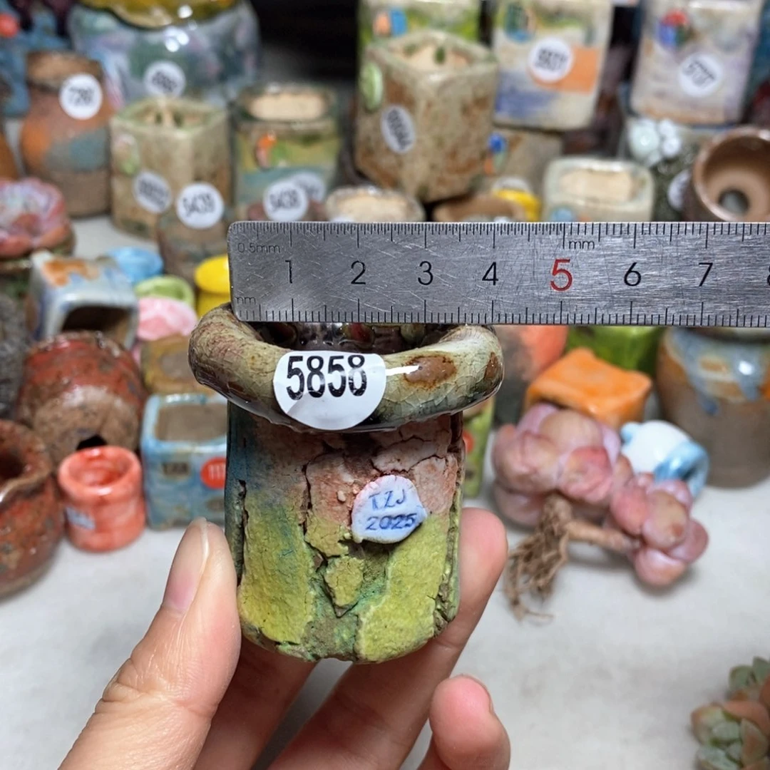 拍3送一个小礼物