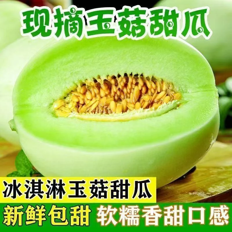 头茬现摘玉菇甜瓜冰淇淋甜瓜当季新鲜水果香甜多汁