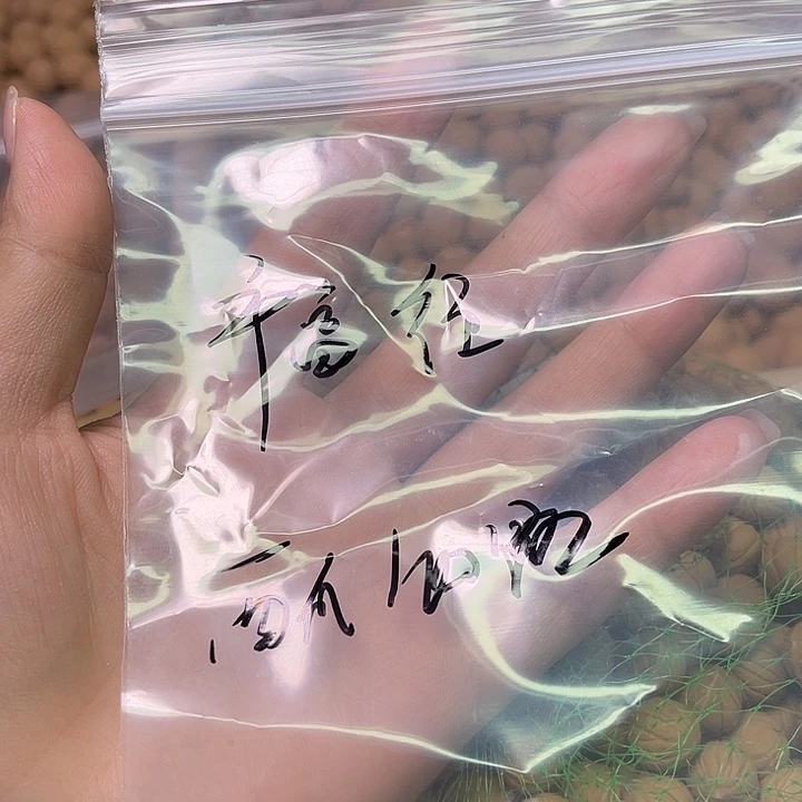 福***来猴头核桃手串小西瓜100颗