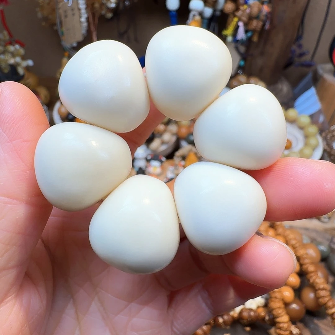 柏香籽/百香籽吊坠菩提树和树