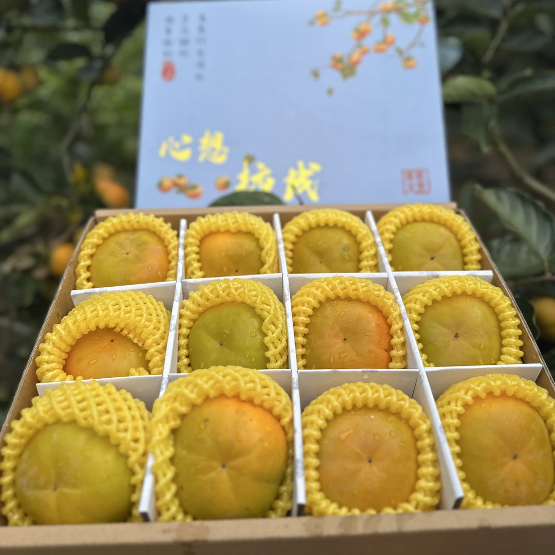精品甜脆柿云南保山高原新鲜现摘脆甜柿子当季次郎脆柿礼盒整箱