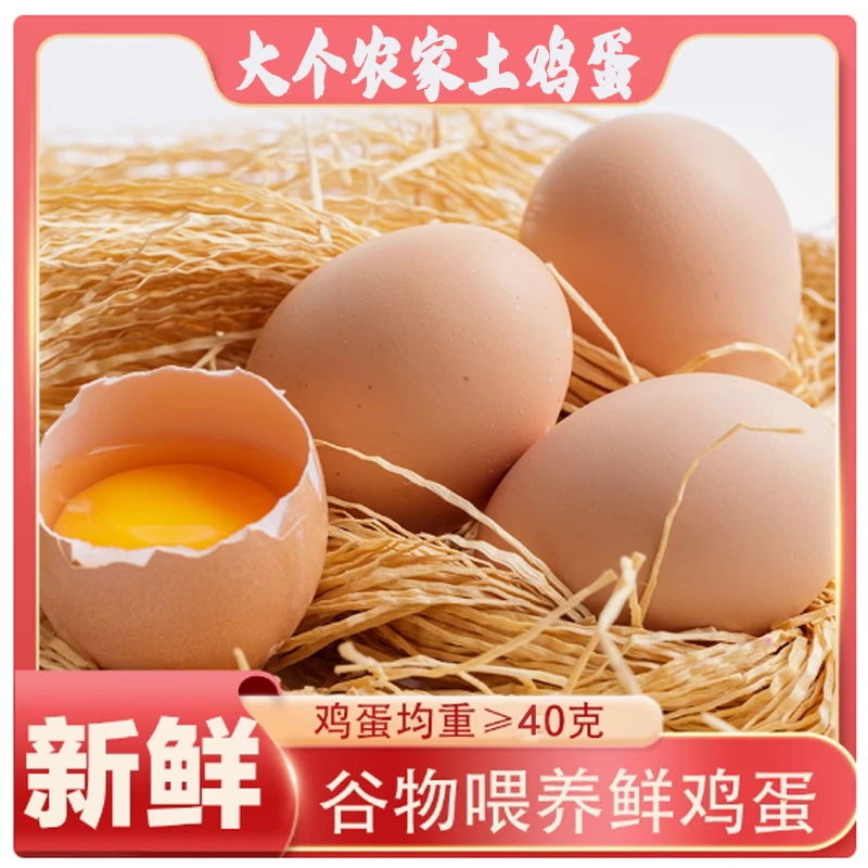 大个土鸡蛋农家散养柴鸡蛋10枚50枚