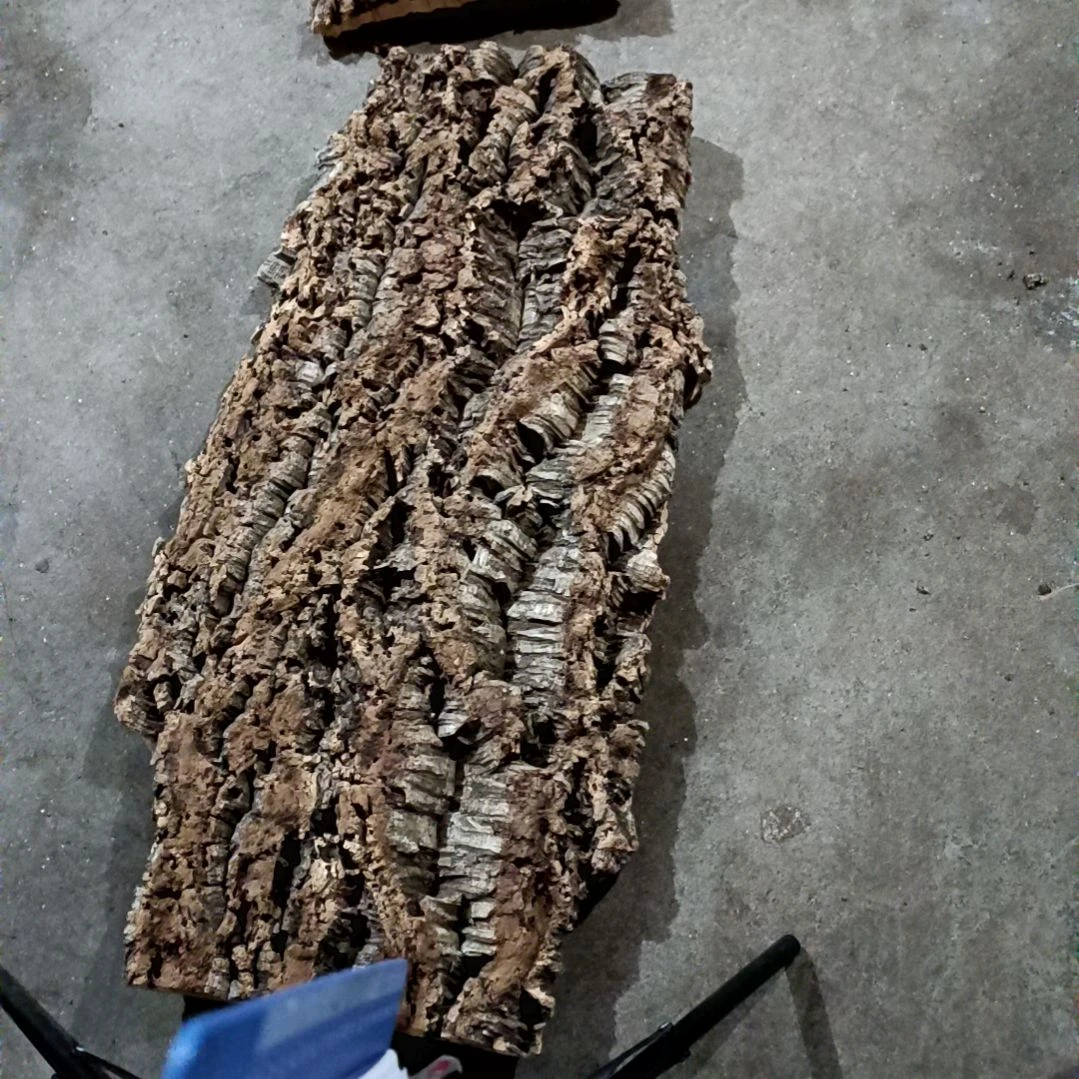 一物一拍一物一发