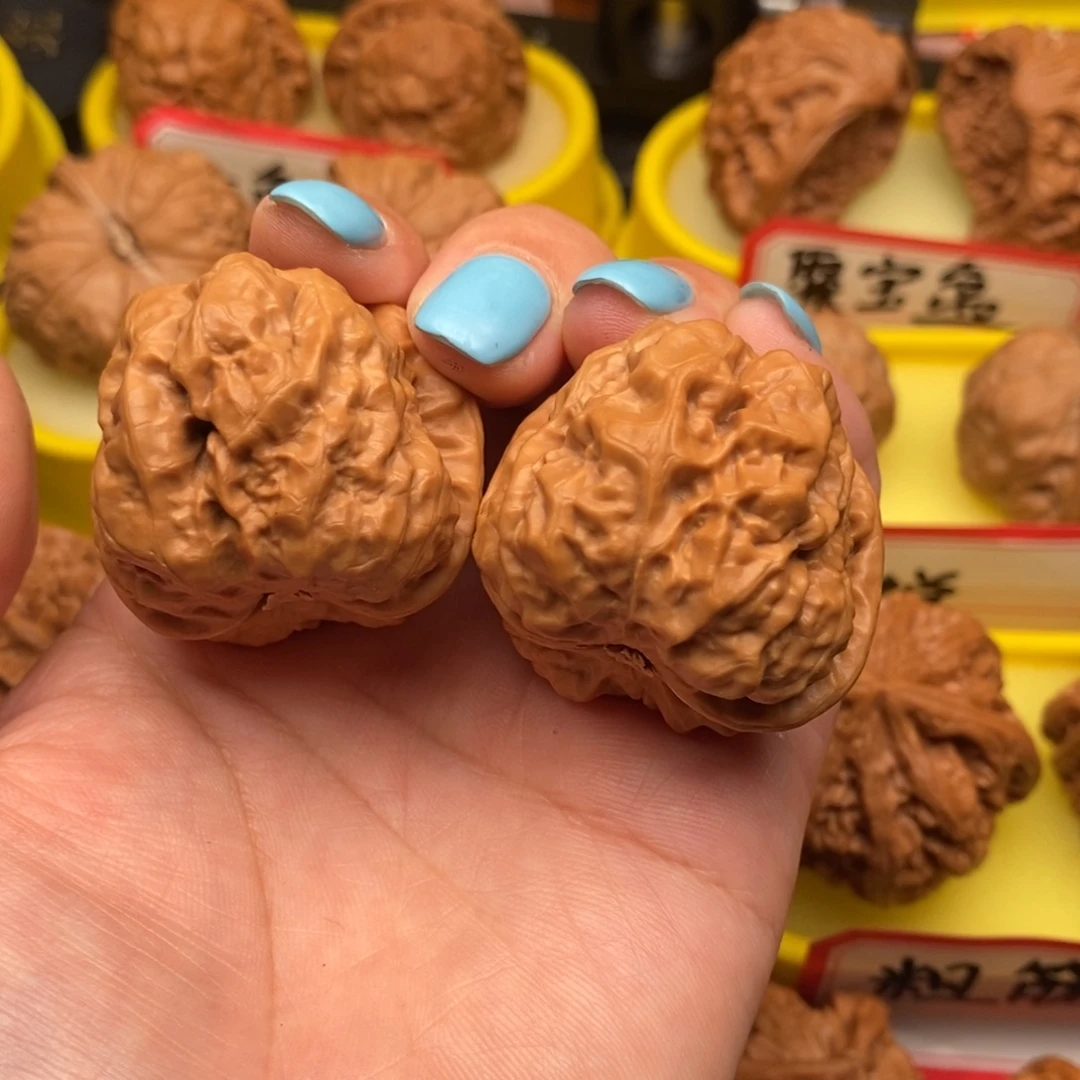 菩提籽类蛤蟆头头
