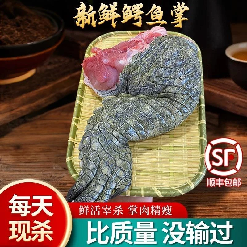 新鲜现杀鳄鱼腿肉-人工养殖鳄鱼腿肉带皮