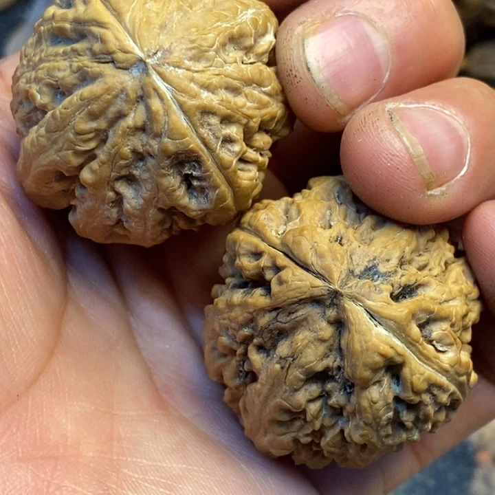 吊坠文玩核桃娜姐180