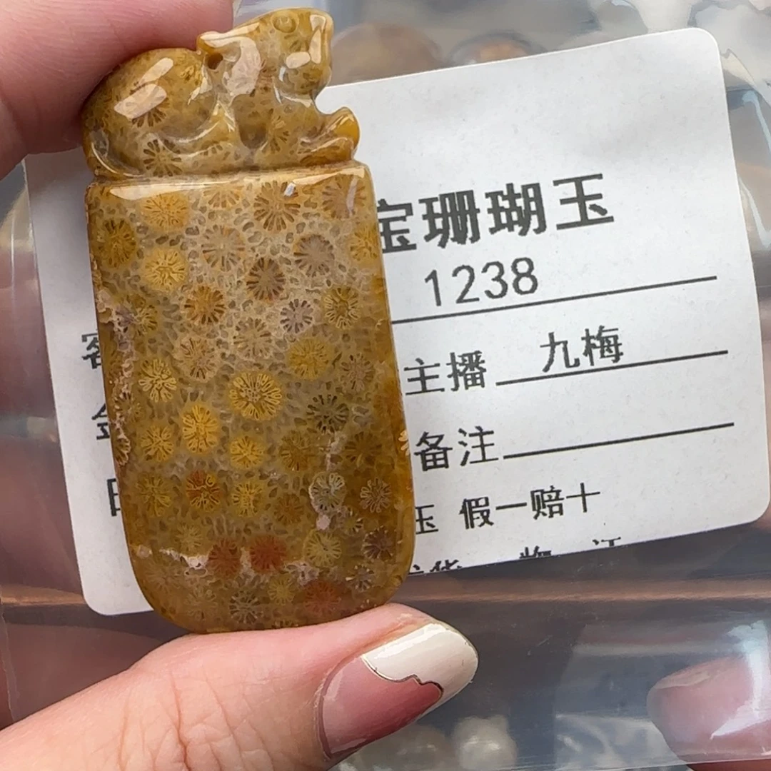 捡****硅化珊瑚（珊瑚玉）未镶嵌颈饰