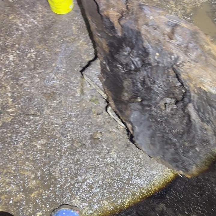 刻***馆乌木金丝楠摆件毛料