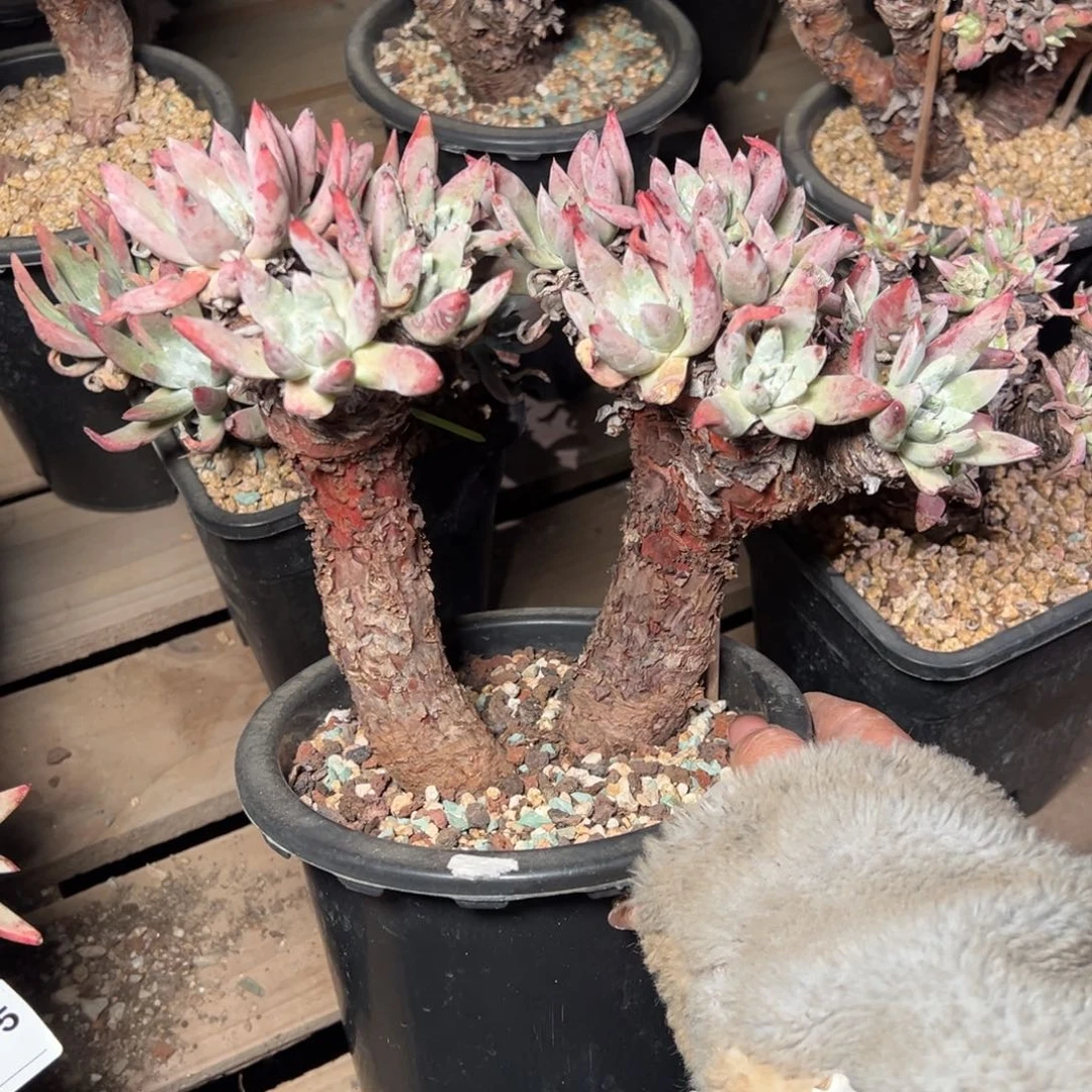 720哈哈哈哈哈哈哈哈哈